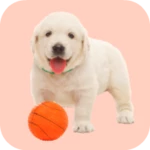 Logo of 🐶 Squeaky Toy Sounds android Application 